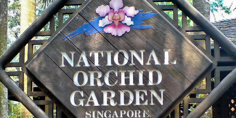 Singapore National Orchid Garden